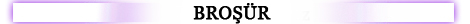 broşürbanner